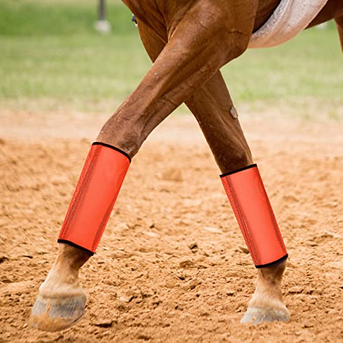 12 Fly Boots for Horse Set of 12 Loose Breathable Mesh Horse Fly Sheets Protective Horse Leg Wraps Leggings for Preventing Flies and Mosquitoes Bites (Pink, Blue, Orange)