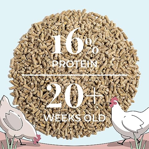 Organic Chicken Feed (Pellet / 2 Pound (Pack of 1))