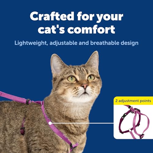 Come with Me Kitty Harness and Bungee Cat Leash (Large (Pack of 1) / Dusty Rose)