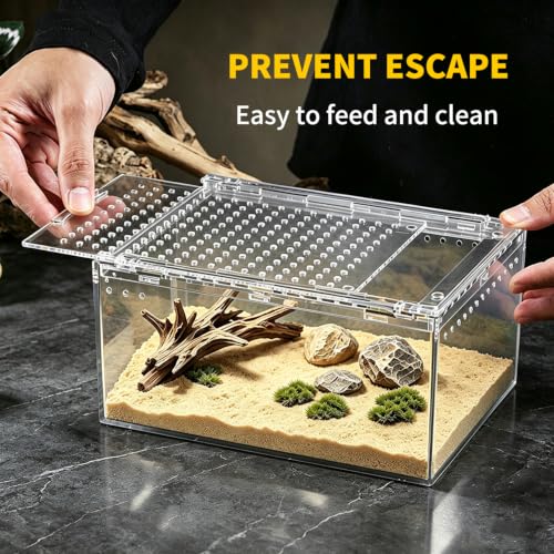 Small Reptile Terrarium (8" * 6" * 4")