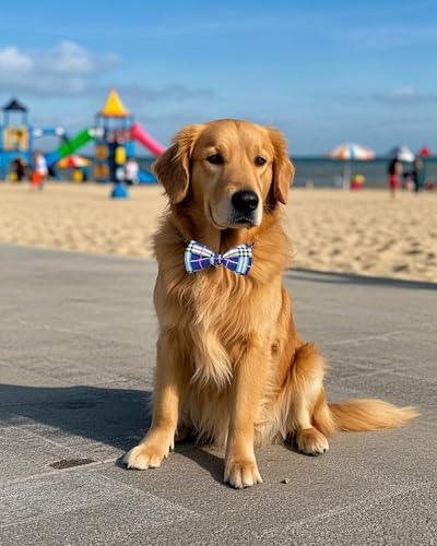 5 Pack Dog Bowties Plaid for Large Dogs Slide on Collar (M/L)