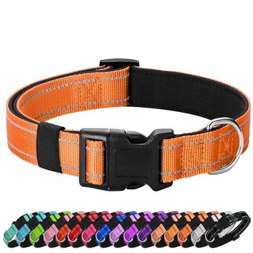 Reflective Dog Collar (Light Orange / L:width 1"neck 17.5-27")