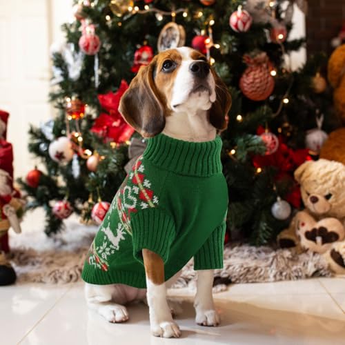 Dog Christmas Sweater (X-Small / Christmas Green)
