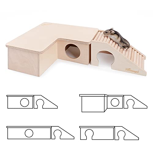 Hamster House w