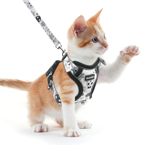 Cat Harness and Leash Set (H604 Pro Moonlight Meow / X-Small (4-6lb))