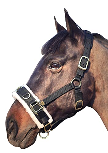 Lunge Cavesson with Fleece Lined Nose Band and Crown (Black / Full)