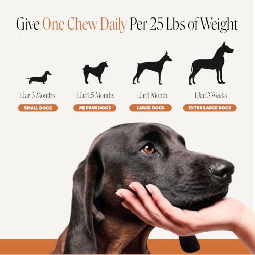 Flea and Tick Prevention for Dogs