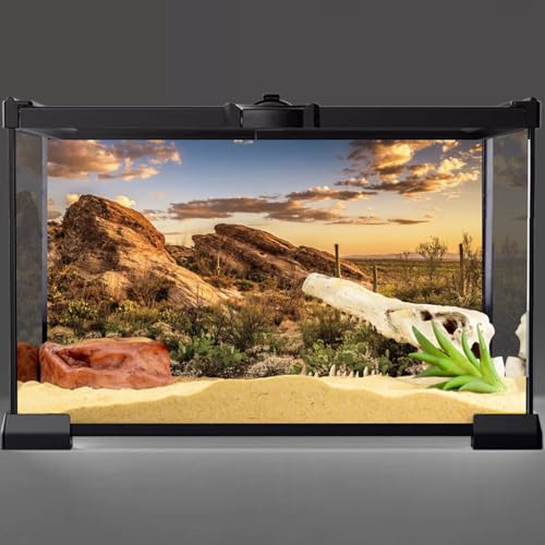 36x24 in Desert Reptile Habitat Backdrop Oasis Cactus Terrarium Background (36x24 inches)