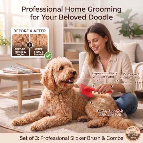 Slicker Brush for Dog (Large / Red)