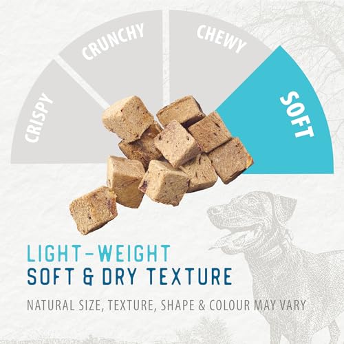 Freeze Dried Beef Liver Bites Dog Treats (5.3 Ounce (Pack of 1))