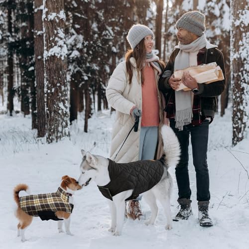 Waterproof Dog Coat (New Brown / 2X-Large (Pack of 1))