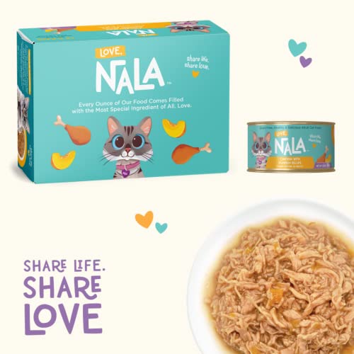 Natural Adult Cat Wet Food