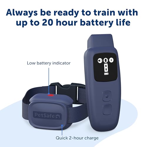 Basic Dog Trainer with Remote (Basic Trainer)