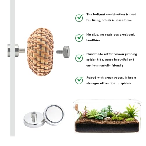 1 Pcs Jumping Spider Accessories