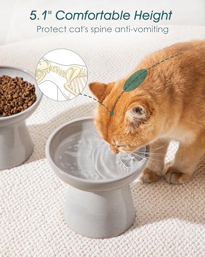 2 Pack Extra Wide Elevated Cat Bowls (Grey)