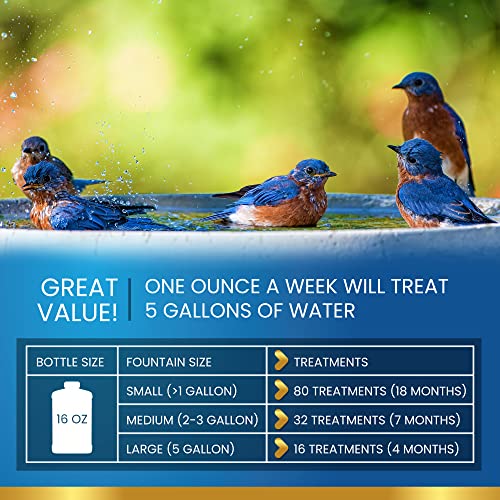 Bird Bath Cleaner Safe for Birds (32oz)