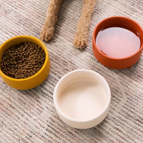 Uplift Ceramic Dog Bowl for Small Medium and Large Breeds (Small / Teracotta)