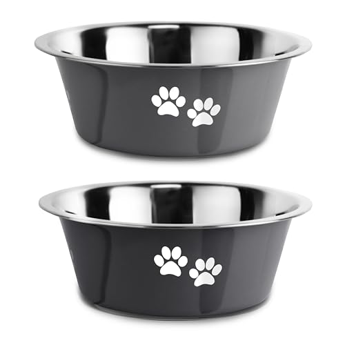 Stainless Steel Dog Bowls (Grey / 3.6 Cups/29 OZ)