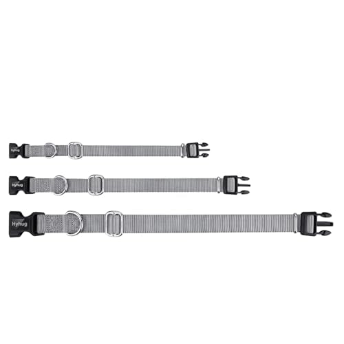 Gray Dog Collar for Medium Dogs (Medium / Sleet Gray)