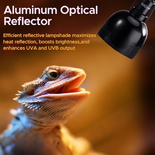 Reptile Light Fixture
