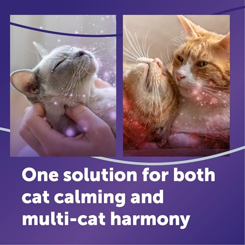 Optimum Cat Calming Pheromone Diffuser Kit (Translucent / 1 Pack)