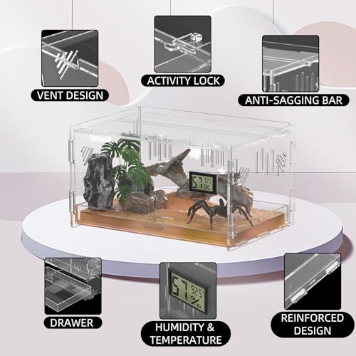 Reptile Terrariums with Temperature Hygrometer (Terrestrial--M (Tray))