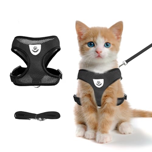 Black Cat Harness and Leash Set (black / S：(Neck:9.44" chest:11.02"-14.96"))