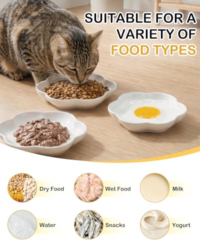 3 Pack Ceramic Cat Food Bowls