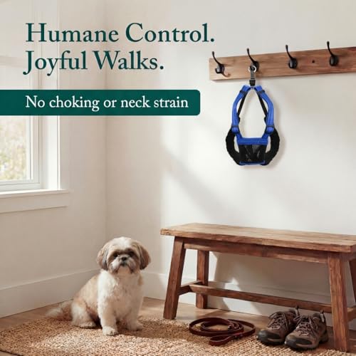 No Pull Dog Harness (Small / Blue)