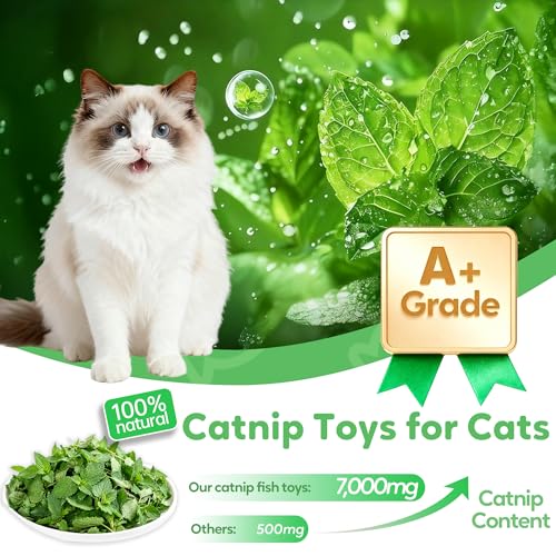 Catnip Toys Saury Fish