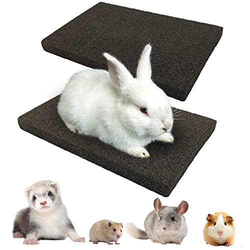 Rabbit Grinding Claw Pads Natural Bunny Scratch Foot Mat 2 Pack (Black 2x Large)
