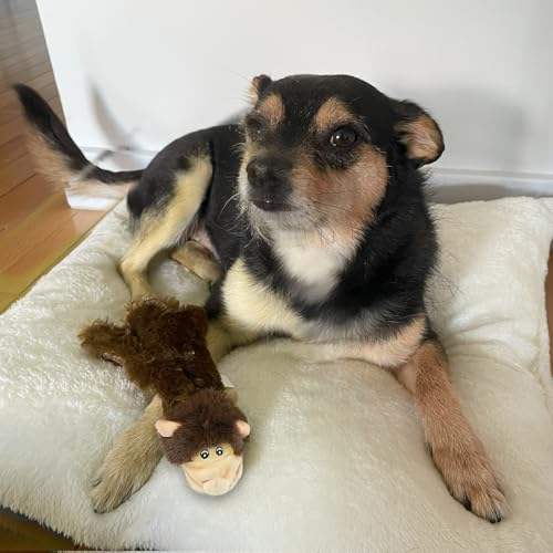 2-in-1 Stuffless Squeaky Dog Toy - Monkey,&Squirrel, M (Multicolor/Monkey & Squirrel / Medium)