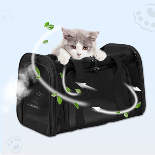 Travel in Style (Black)
