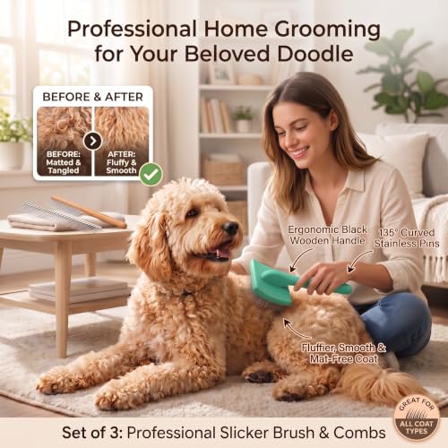 Slicker Brush for Dog (Large / Green)