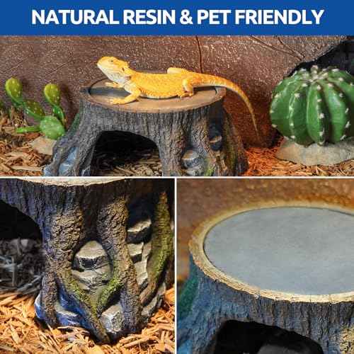 Bearded Dragon Basking Platform (Extra Large)