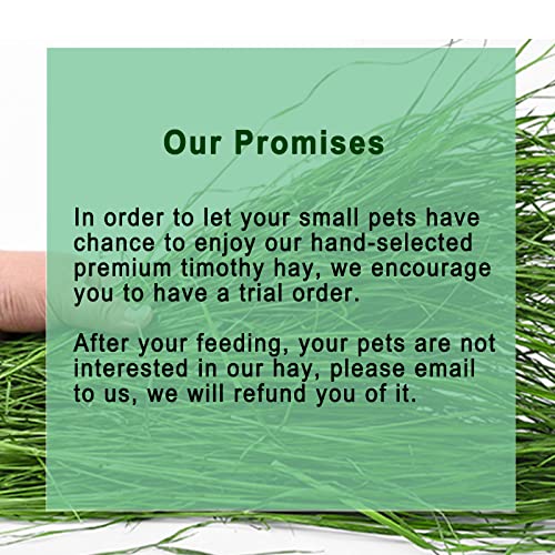 Timothy Hay 1.1LB Small Pet Feed (1.1 Pound (Pack of 1))