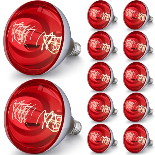12 Pack Heat Lamp Bulbs 250 Watt (Red)