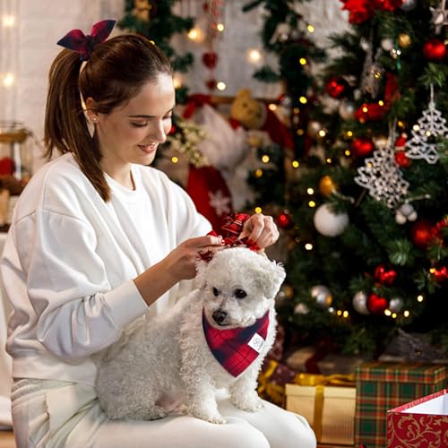 Christmas Red Dog Bandanas Matching Dog Bandana and Scrunchie (Black,Golden / Small)