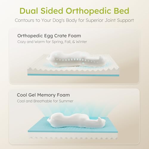 XXL Dog Bed for Extra Large Dogs (Dark Grey / X-Large(53"L x 42"W x 9.5"Th))