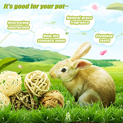 8 Pcs Small Animals Play Balls Rolling Activity Chew Toys Gnawing Treats for Rabbits Guinea Pigs Chinchilla Bunny Natural Balls (8Pcs)