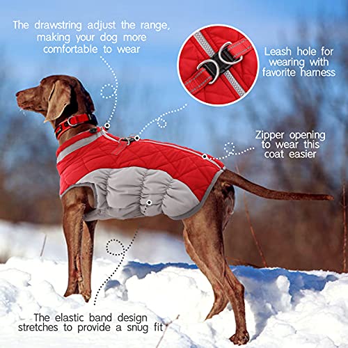 Dog Coat for Small Dogs (Red / S(chest:17in))