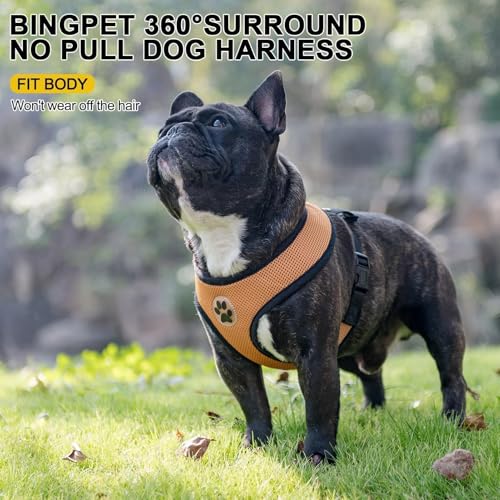Small Dog Harness (L (NECK: 17", CHEST: 18.8"-24") / Beige)