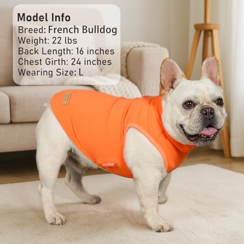 2Pack Dog Sweater for Small Dogs Soft Pet Coats Fleece Sweatshirt (Large (12-18lbs) / 5# Stripe+Orange)