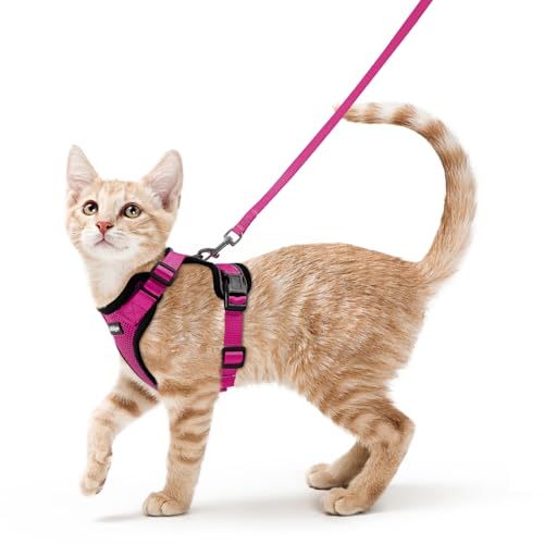 Cat Harness and Leash Set (Xs / Rose Red)