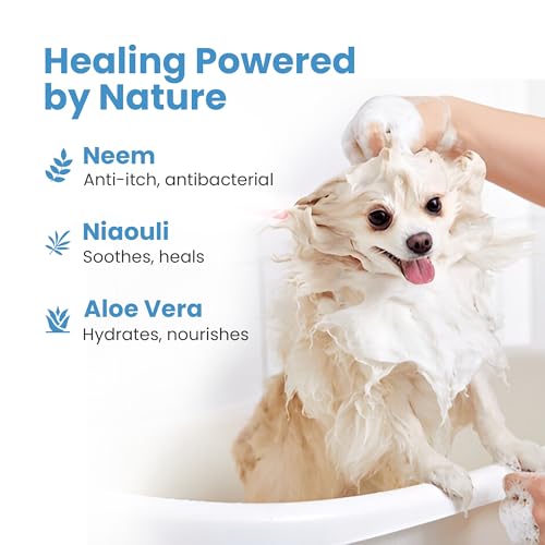 Medicated Dog Shampoo Bar for Dry