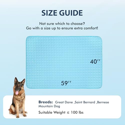 Summer Cooling Mat & Sleeping Pad (59" x 40" / Blue)