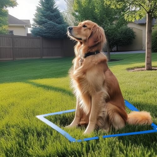 Dog Agility Equipment Set