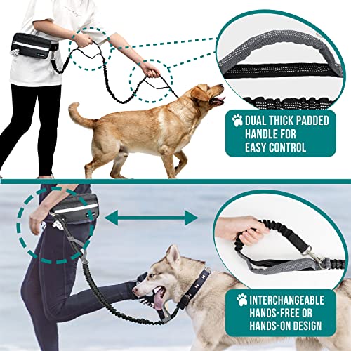Hands Free Dog Leash Waist Belt Bag Fanny Pack (Black / 2 Leashes)