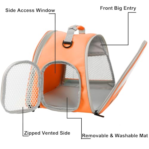 Guinea Pig Carrier (Orange)