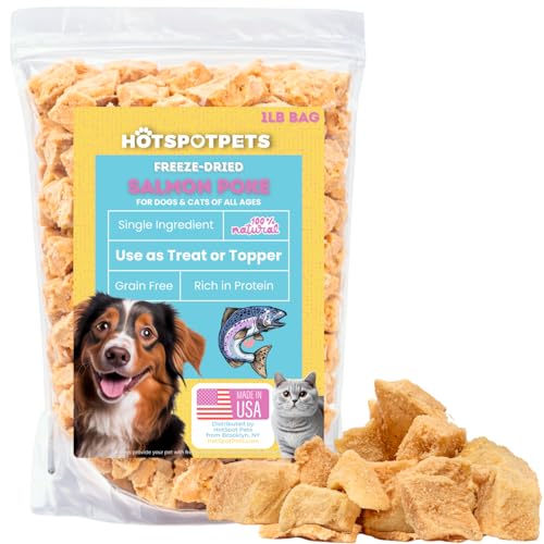 Freeze Dried Salmon Treats for Cats & Dogs